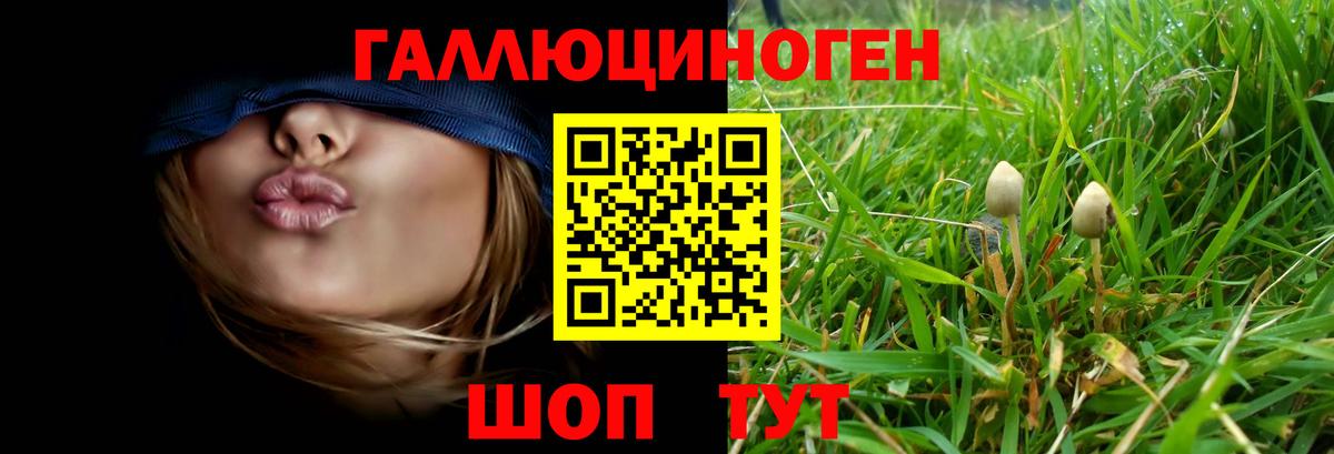 Норильск  Галлюциногенные грибы Cubensis  Псилоцибиновые грибы прущие грибы  Вход с VPN 